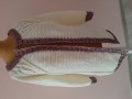 20220329_134448.jpg